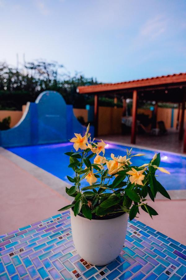 Villa Encantada Aruba 노르트 외부 사진